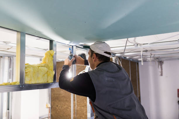 Best Spray Foam Insulation  in Clover, SC