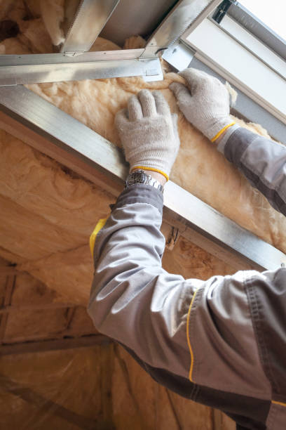 Best Insulation Contractors for Homes  in Clover, SC