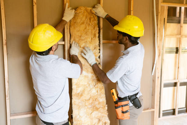 Best Insulation Contractors for Homes  in Clover, SC