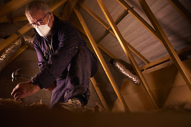 Best Professional Insulation Contractor  in Clover, SC